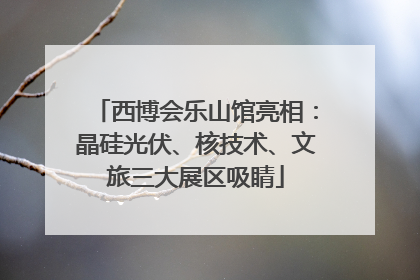 西博会乐山馆亮相：晶硅光伏、核技术、文旅三大展区吸睛