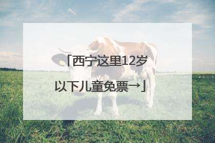 西宁这里12岁以下儿童免票→