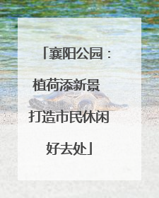 襄阳公园：植荷添新景 打造市民休闲好去处