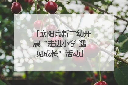 襄阳高新二幼开展“走进小学 遇见成长”活动