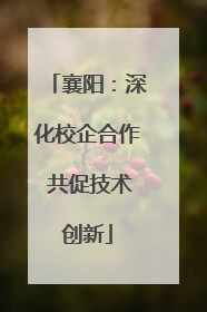 襄阳：深化校企合作 共促技术创新