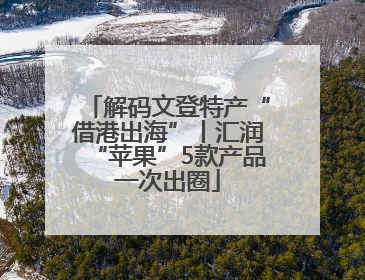 解码文登特产“借港出海”丨汇润“苹果”5款产品一次出圈