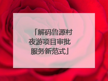 解码鲁源村夜游项目审批服务新范式