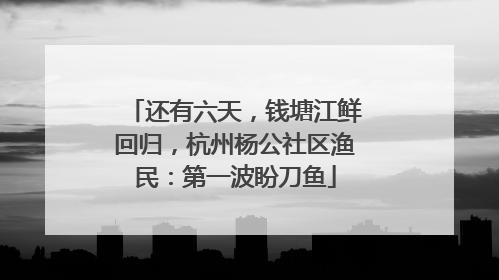 还有六天，钱塘江鲜回归，杭州杨公社区渔民：第一波盼刀鱼