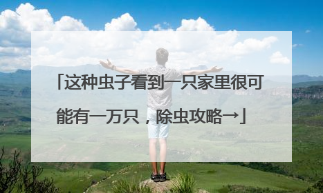 这种虫子看到一只家里很可能有一万只，除虫攻略→