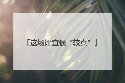 这场评查很“较真”