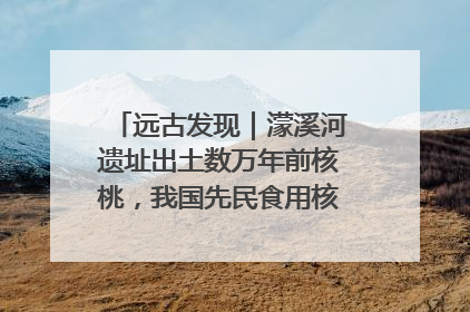 远古发现｜濛溪河遗址出土数万年前核桃，我国先民食用核桃历史大幅提前
