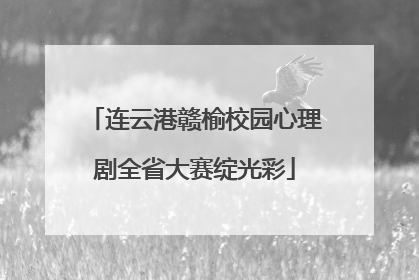 连云港赣榆校园心理剧全省大赛绽光彩