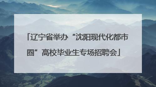 辽宁省举办“沈阳现代化都市圈”高校毕业生专场招聘会