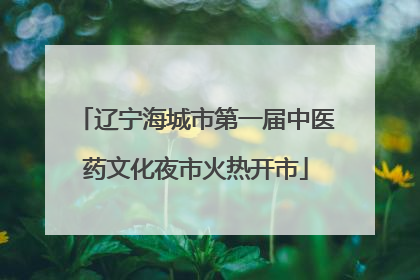 辽宁海城市第一届中医药文化夜市火热开市