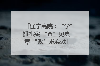 辽宁高院：“学”抓扎实 “查”见真章 “改”求实效