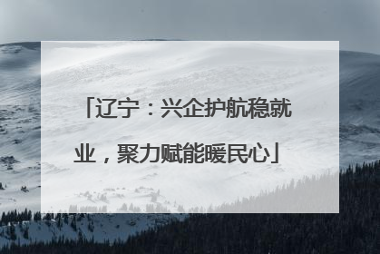 辽宁：兴企护航稳就业，聚力赋能暖民心