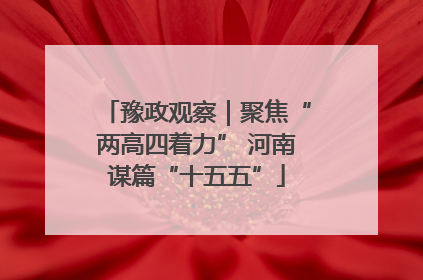 豫政观察｜聚焦“两高四着力” 河南谋篇“十五五”