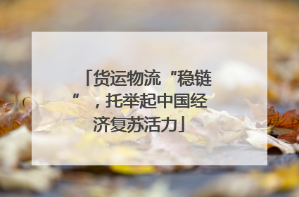 货运物流“稳链”，托举起中国经济复苏活力