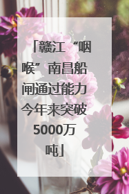 赣江“咽喉”南昌船闸通过能力今年来突破5000万吨
