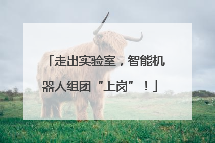 走出实验室，智能机器人组团“上岗”！