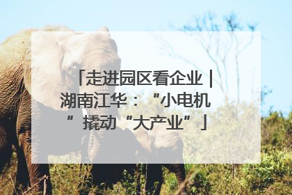 走进园区看企业｜湖南江华：“小电机”撬动“大产业”