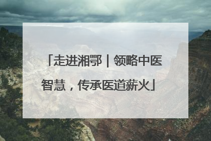 走进湘鄂｜领略中医智慧，传承医道薪火