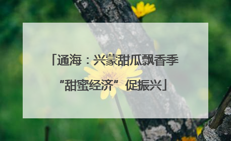 通海：兴蒙甜瓜飘香季 “甜蜜经济”促振兴