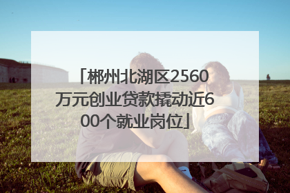 郴州北湖区2560万元创业贷款撬动近600个就业岗位