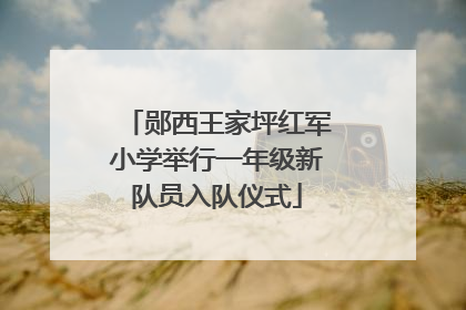 郧西王家坪红军小学举行一年级新队员入队仪式