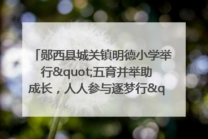 郧西县城关镇明德小学举行"五育并举助成长，人人参与逐梦行"庆六一活动