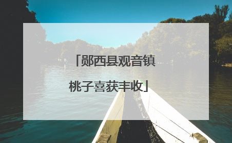 郧西县观音镇桃子喜获丰收