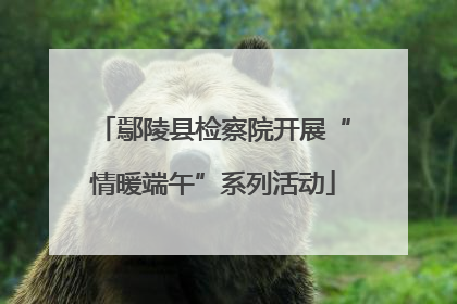 鄢陵县检察院开展“情暖端午”系列活动