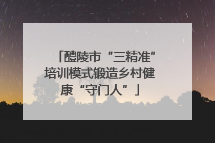 醴陵市“三精准”培训模式锻造乡村健康“守门人”