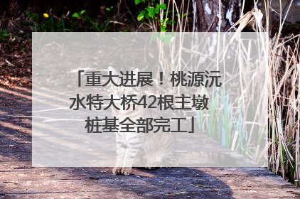 重大进展！桃源沅水特大桥42根主墩桩基全部完工