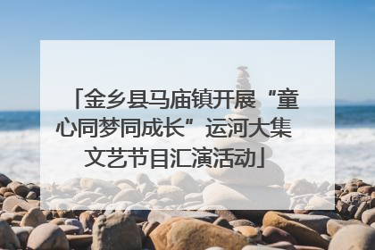 金乡县马庙镇开展“童心同梦同成长”运河大集文艺节目汇演活动