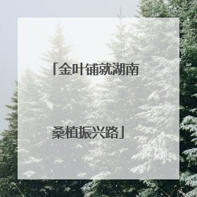 金叶铺就湖南桑植振兴路