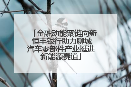 金融动能聚链向新 恒丰银行助力聊城汽车零部件产业挺进新能源赛道