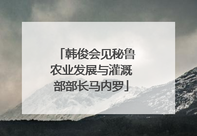 韩俊会见秘鲁农业发展与灌溉部部长马内罗