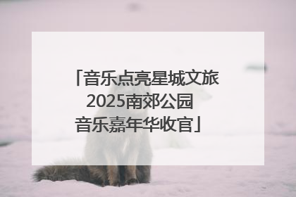 音乐点亮星城文旅 2025南郊公园音乐嘉年华收官