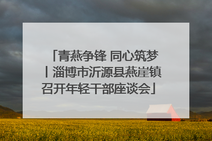 青燕争锋 同心筑梦丨淄博市沂源县燕崖镇召开年轻干部座谈会