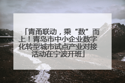 青甬联动，乘“数”而上！青岛市中小企业数字化转型城市试点产业对接活动在宁波开班