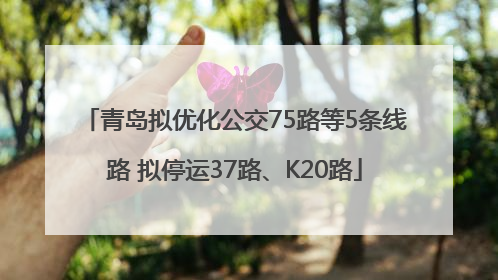 青岛拟优化公交75路等5条线路 拟停运37路、K20路
