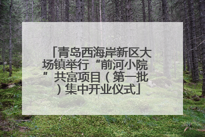 青岛西海岸新区大场镇举行“前河小院”共富项目（第一批）集中开业仪式