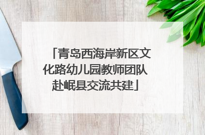 青岛西海岸新区文化路幼儿园教师团队赴岷县交流共建