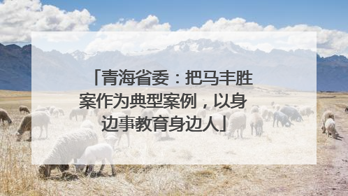 青海省委：把马丰胜案作为典型案例，以身边事教育身边人
