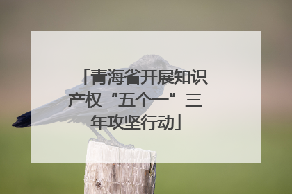 青海省开展知识产权“五个一”三年攻坚行动