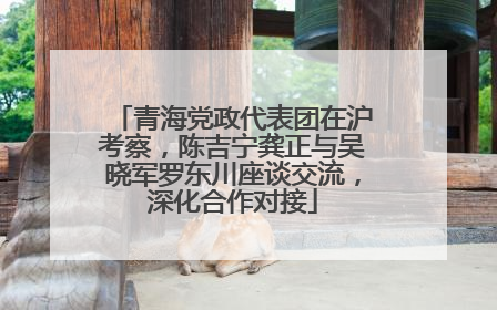 青海党政代表团在沪考察，陈吉宁龚正与吴晓军罗东川座谈交流，深化合作对接
