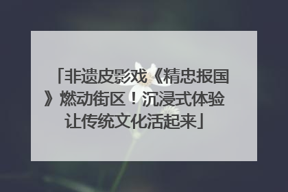 非遗皮影戏《精忠报国》燃动街区！沉浸式体验让传统文化活起来