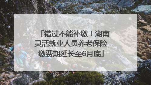 错过不能补缴！湖南灵活就业人员养老保险缴费期延长至6月底