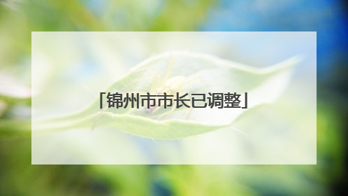 锦州市市长已调整