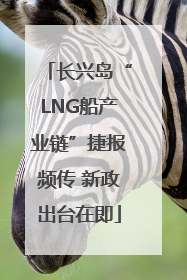 长兴岛“LNG船产业链”捷报频传 新政出台在即
