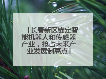 长春新区锚定智能机器人和传感器产业，抢占未来产业发展制高点
