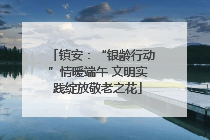 镇安：“银龄行动”情暖端午 文明实践绽放敬老之花