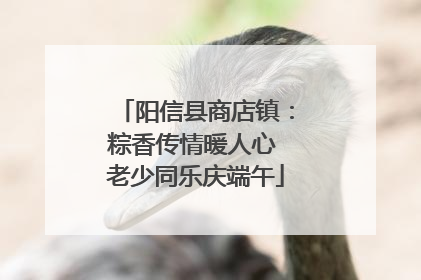 阳信县商店镇：粽香传情暖人心 老少同乐庆端午